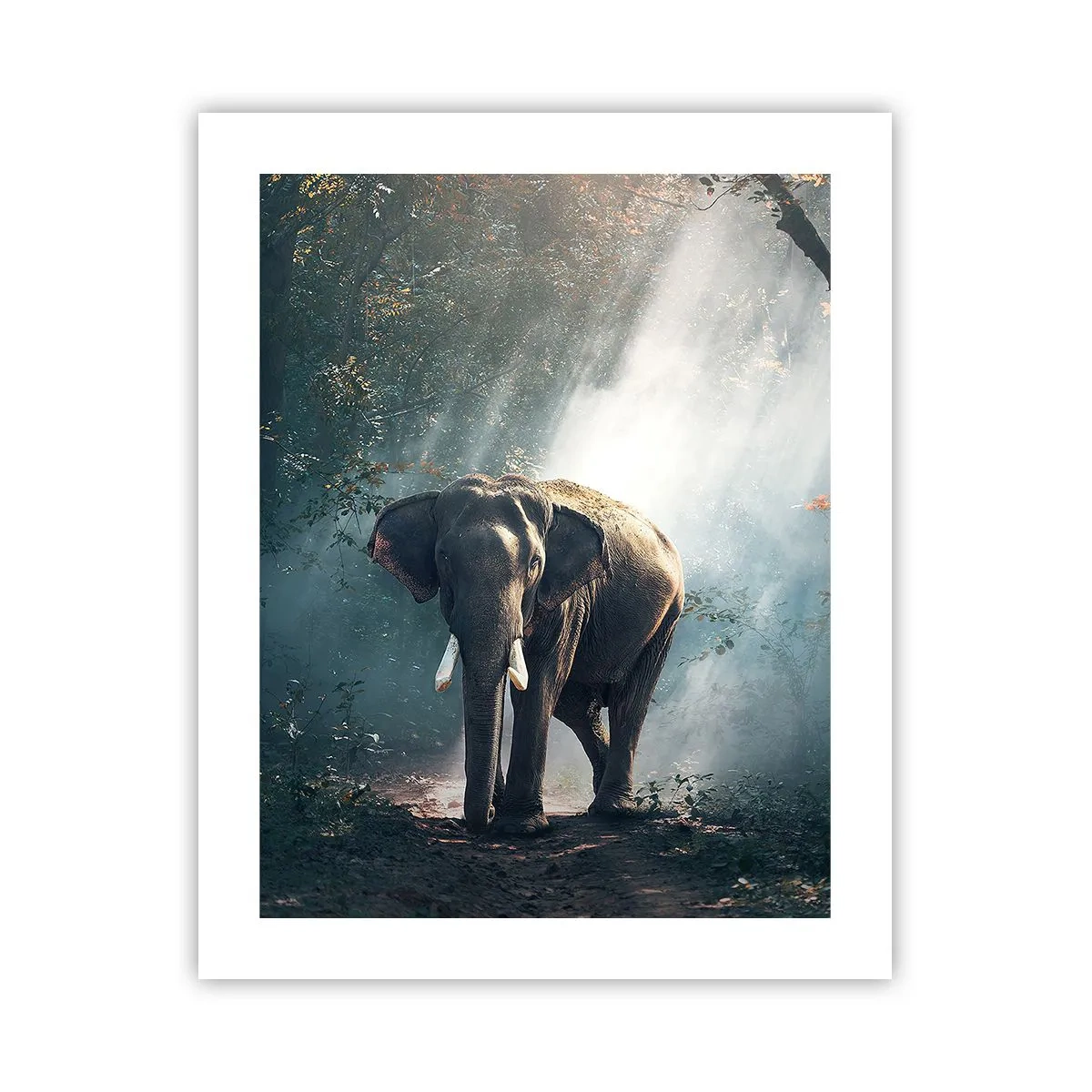 Plagát - Pokojná prechádzka - 40x50 cm