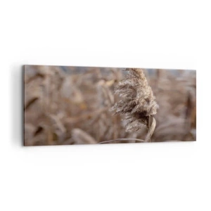 Obraz na plátne - Čas odletieť s vetrom - 100x40 cm