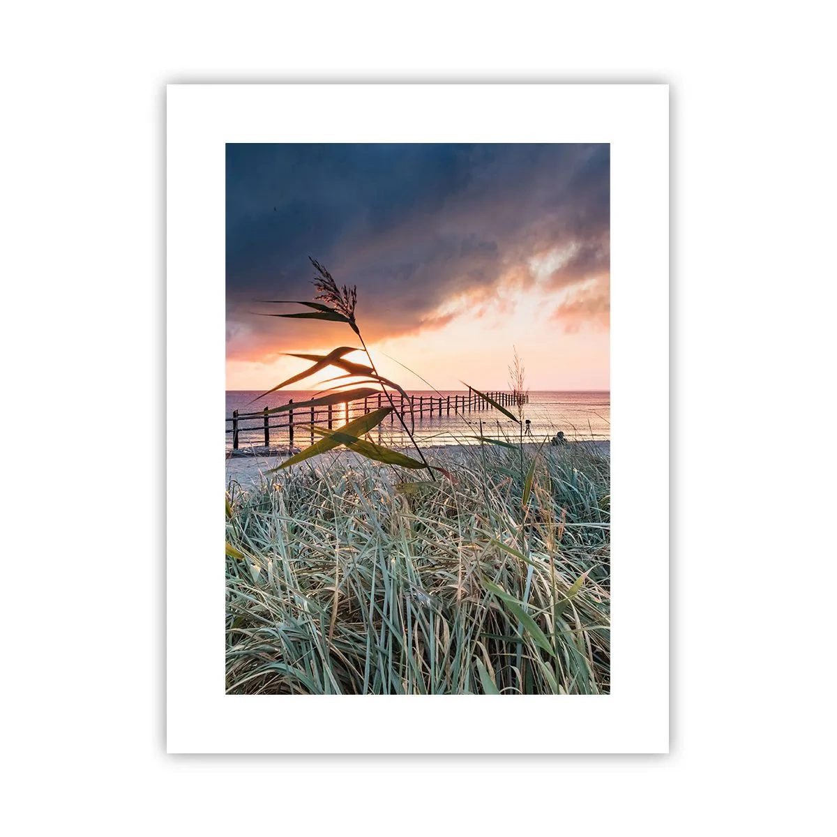 Plagát - Neodviate vetrom - 30x40 cm