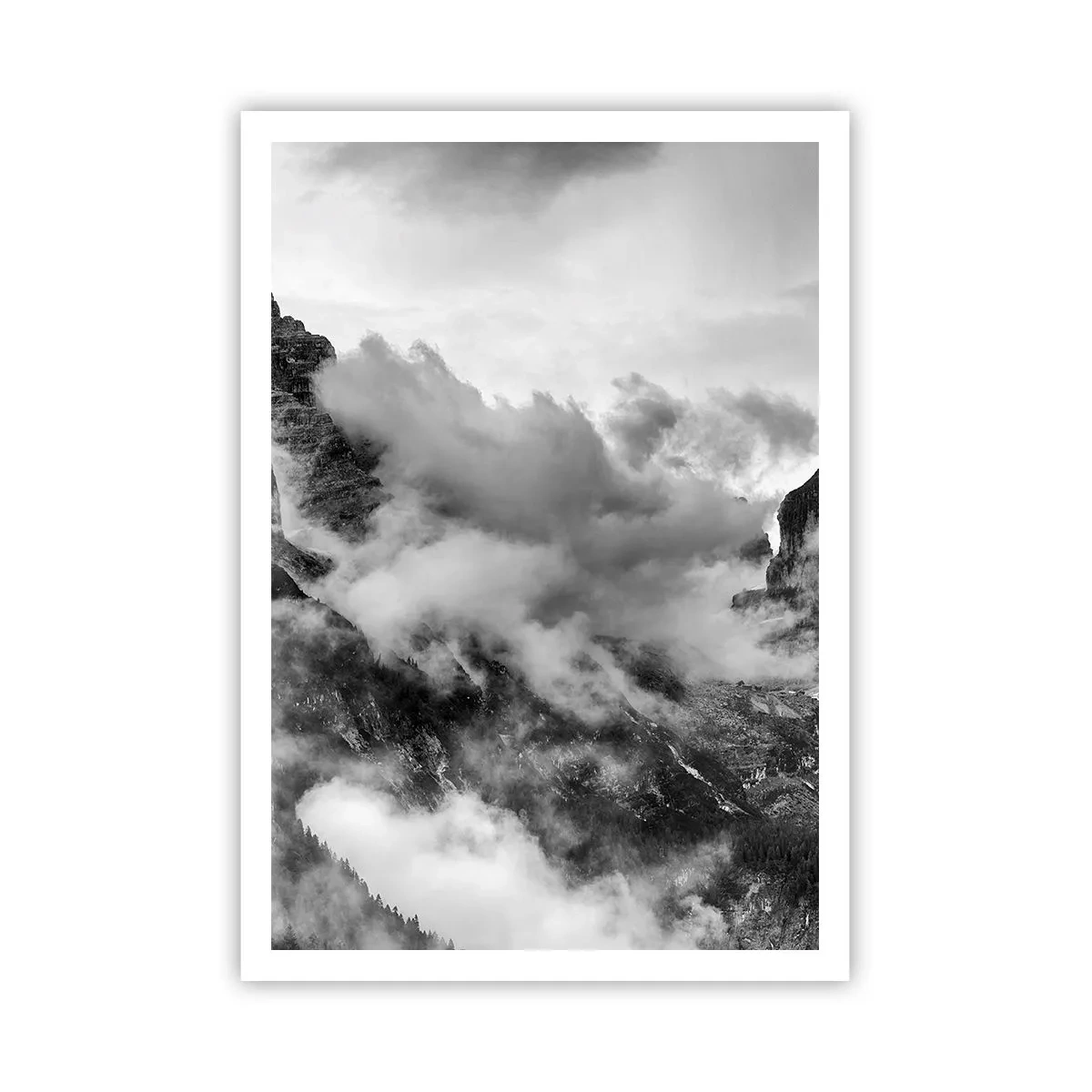 Plagát - Krásne a kruté - 70x100 cm