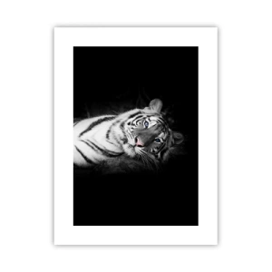 Plagát - Divočina a pokoj - 30x40 cm