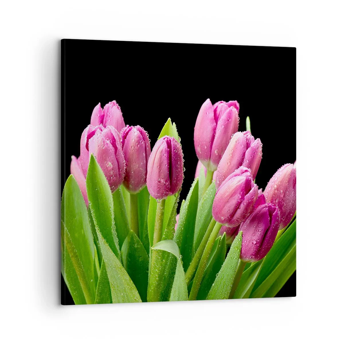 Obraz na plátne - Ľaliové potešenie jari - 60x60 cm