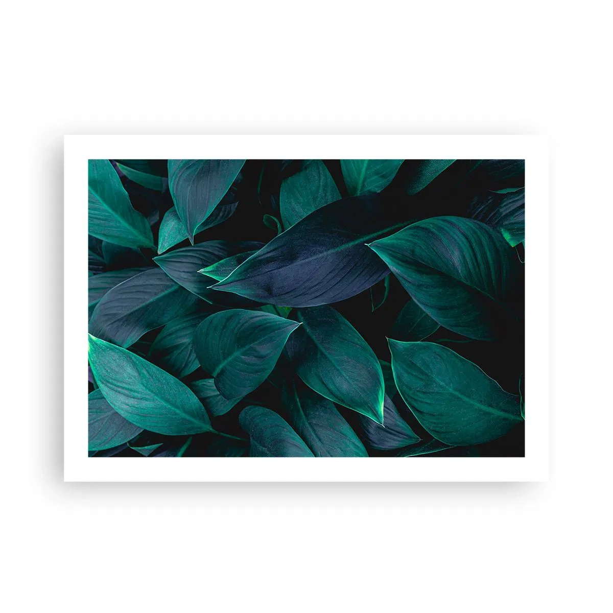 Plagát - Zeleň sama o sebe - 70x50 cm