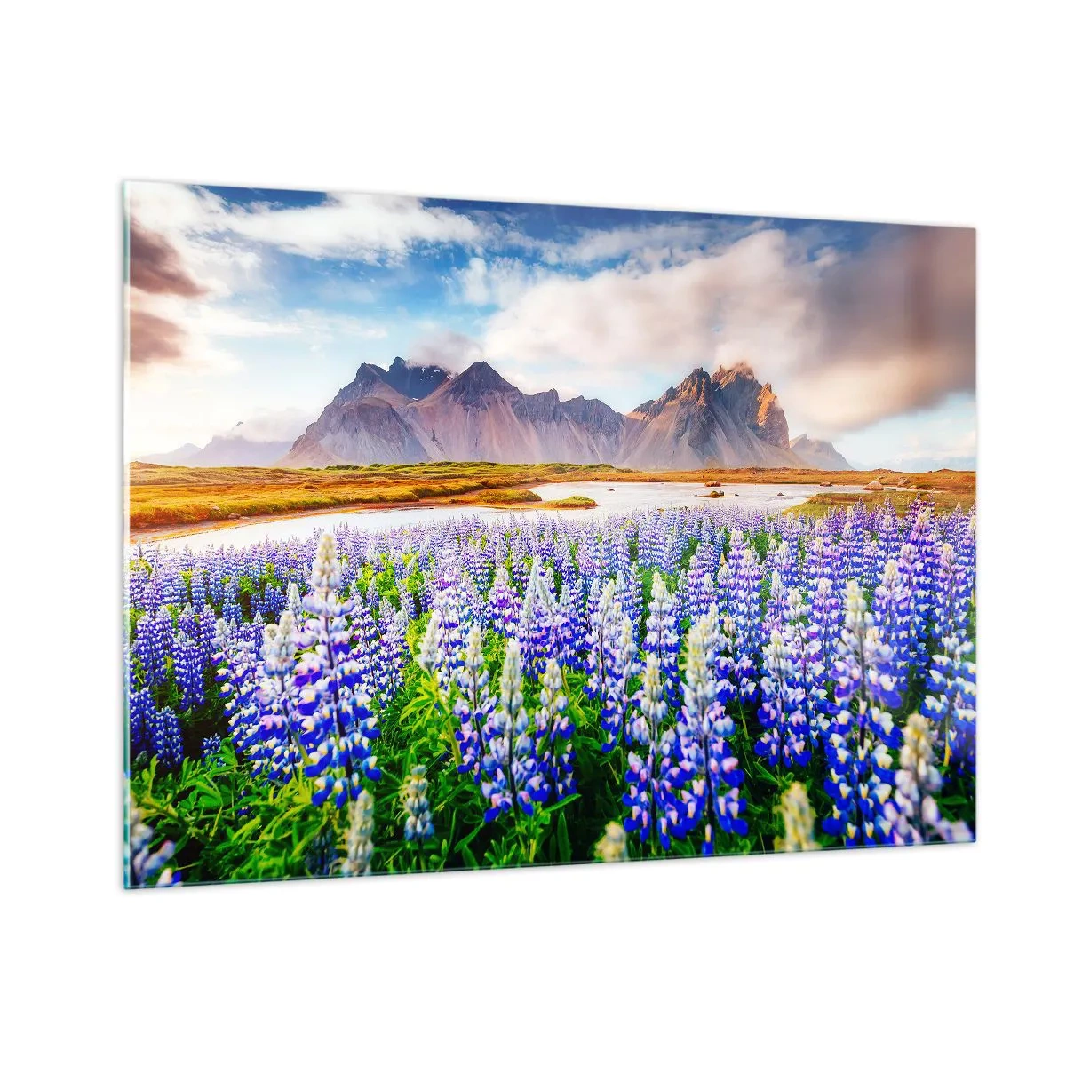 Obraz na skle - Sila a prísnosť vedľa miernosti - 100x70 cm