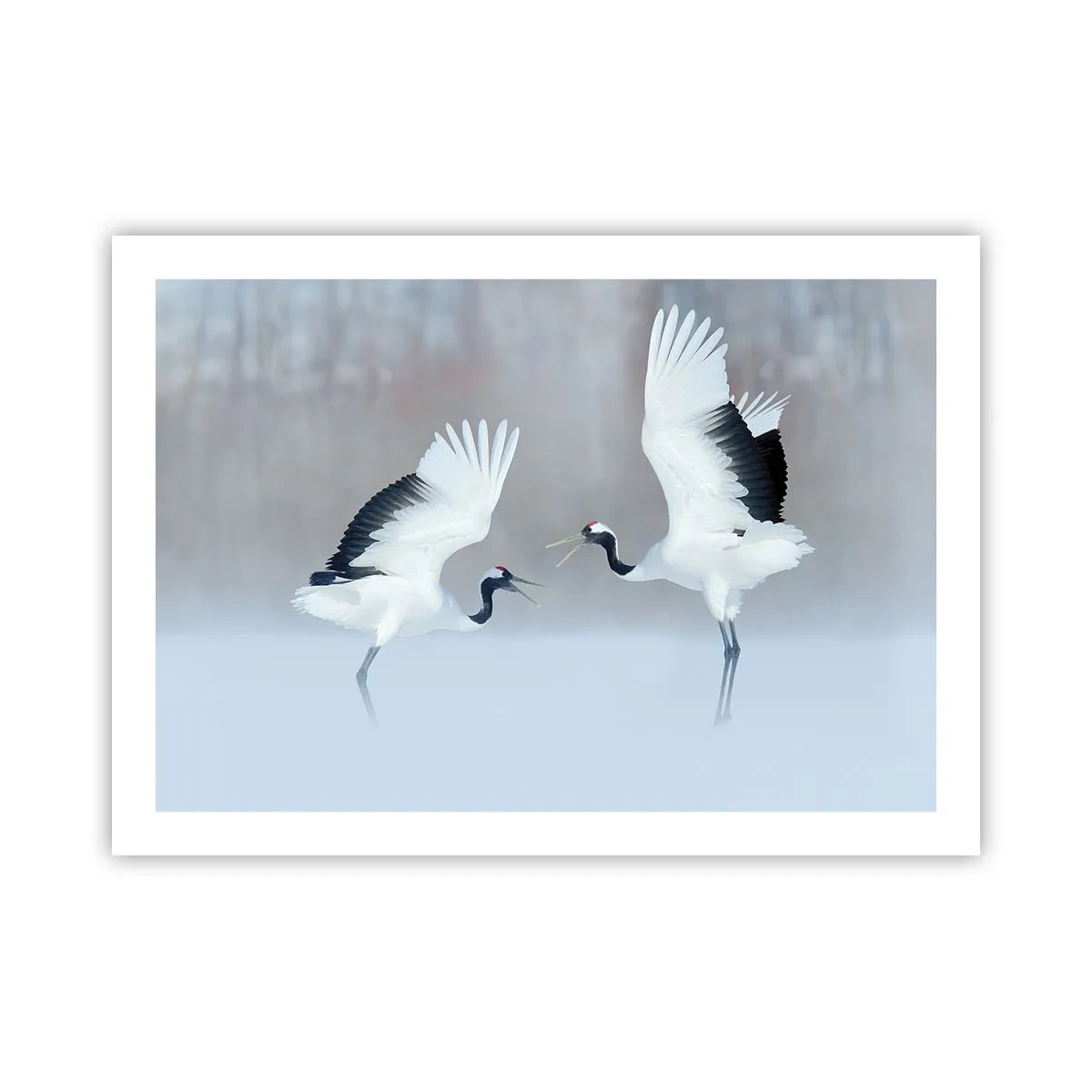 Plagát - Tanec v hmle - 70x50 cm