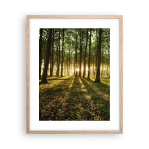 Plagát v ráme zo svetlého duba - Fotografie všetkých jarí - 40x50 cm