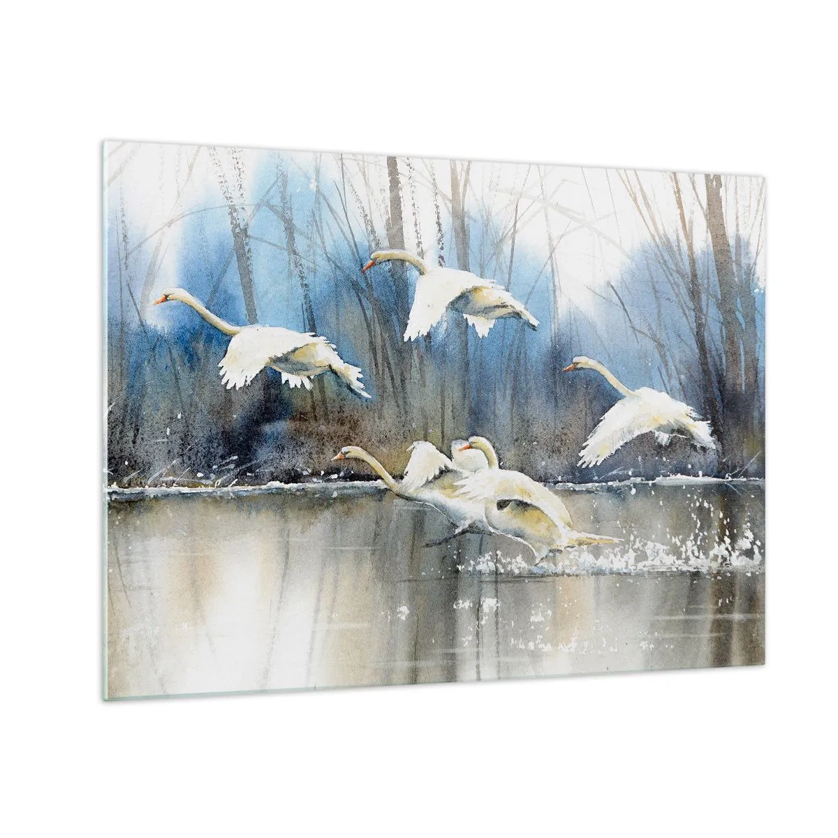Obraz na skle - Divoké labute lietajúce nad pokojným lesným jazerom - 70x50cm - Ako v poviedke o divokých labutiach - Moderná nástenná dekorácia do obývacej izby a spálne ARTTOR