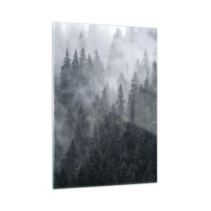 Obraz na skle - Lesné svitania - 50x70 cm