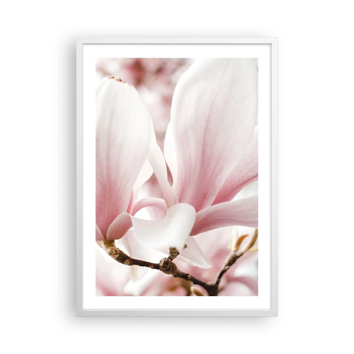 Plagát v bielom ráme - Nesmiernosť nežnosti - 50x70 cm