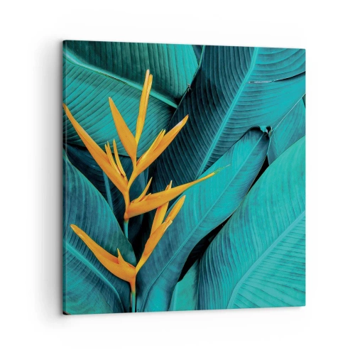 Obraz na plátne - Rajský kvet - 50x50 cm