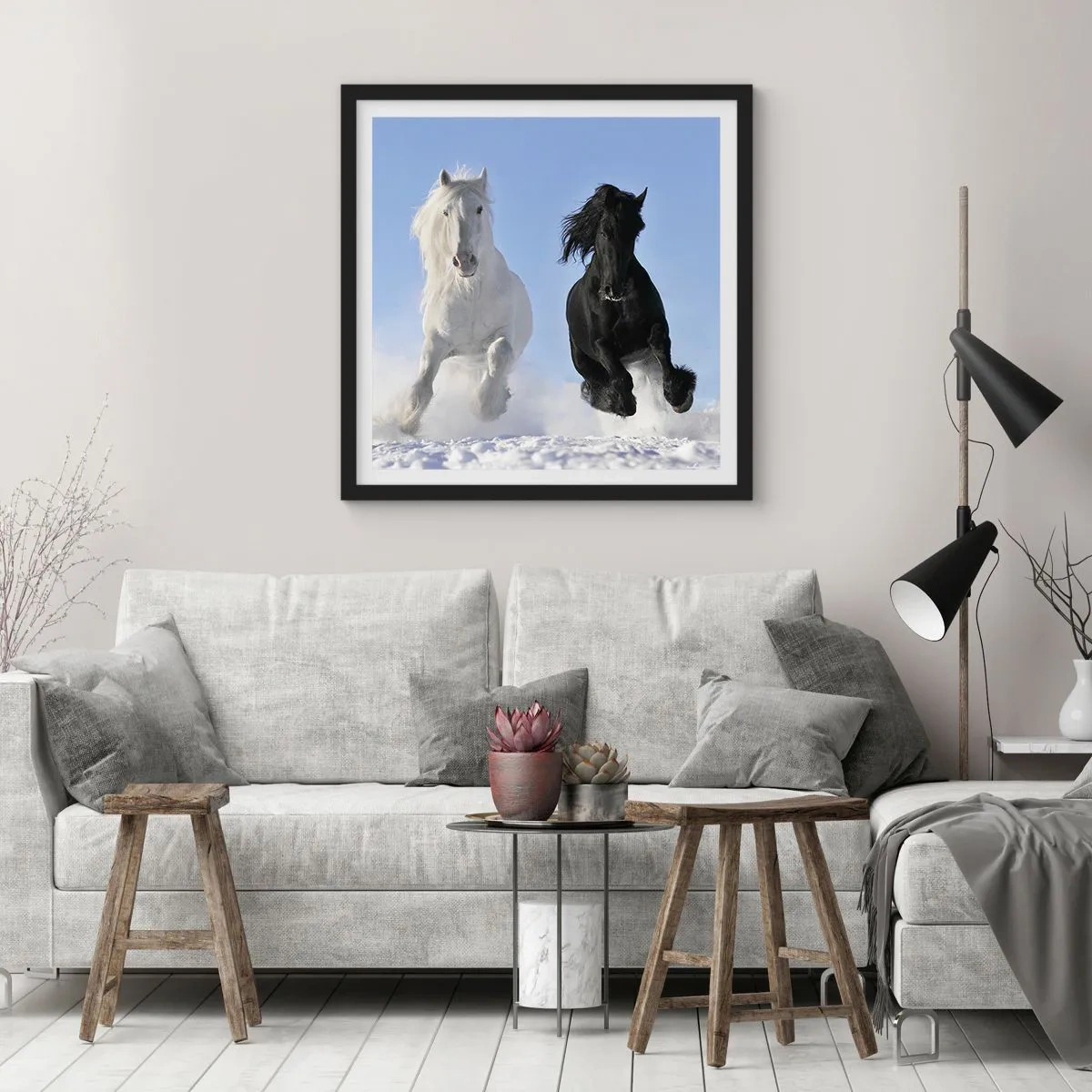Plagát v čiernom ráme - Čierno-biely cval - 60x60 cm