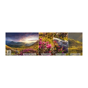 Vzorka samolepiacej fototapety Deluxe Sticker - Sviežosť horského rána - Krajina, hory, Kvety - 100x30 cm