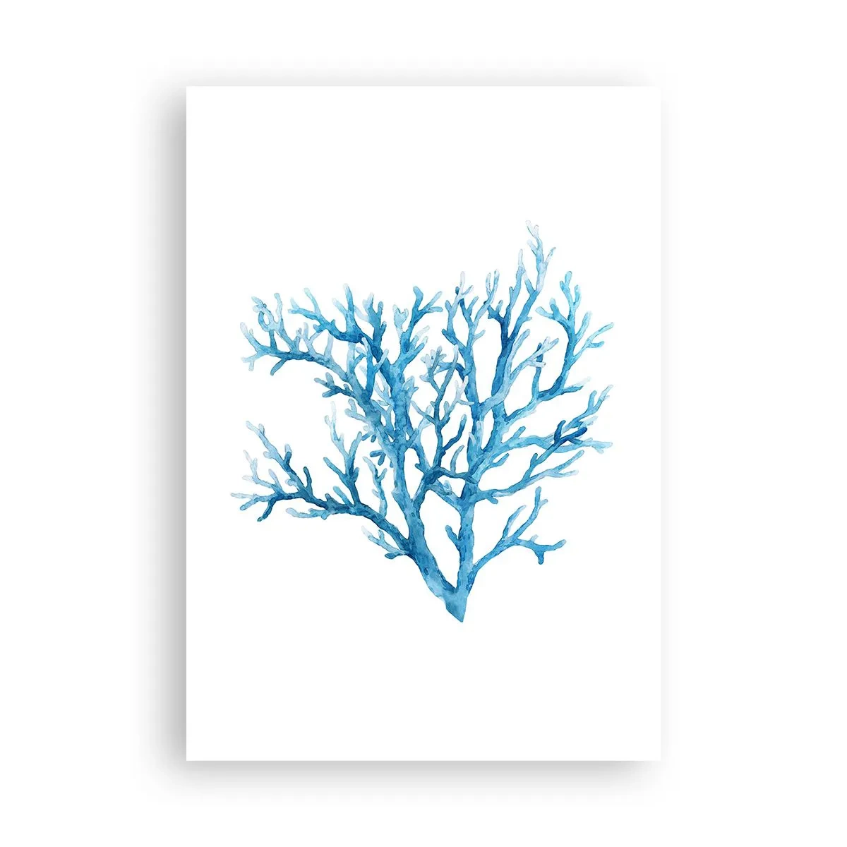 Plagát - Morský filigrán - 70x100 cm
