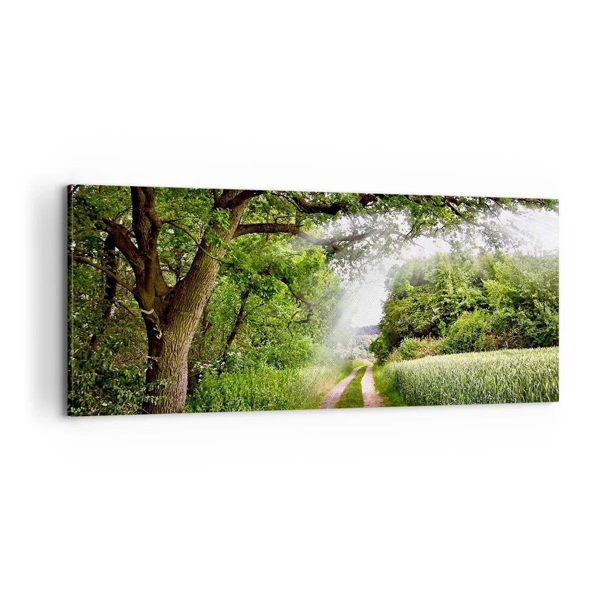 Obraz na plátne - Et in Arcadia ego - 100x40 cm