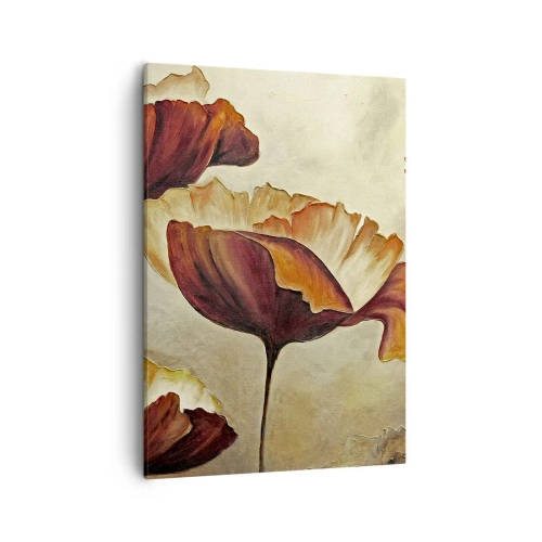 Obraz na plátne - Lán lúky - 50x70 cm