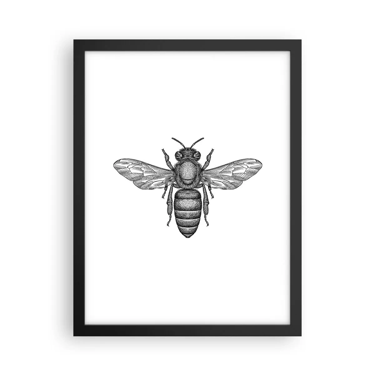 Plagát v čiernom ráme - Hmyzí portrét - 30x40 cm