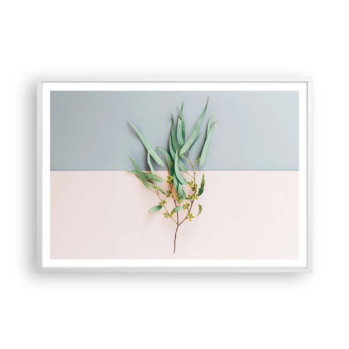 Plagát v bielom ráme - Pastelová jemnosť - 100x70 cm