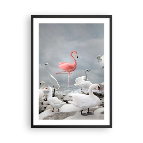 Plagát v čiernom ráme - Ružový plameniak obklopený bielymi vtákmi na pozadí oblohy - 50x70cm - Kde som sa tu vzal? - Moderná nástenná dekorácia do obývacej izby a spálne ARTTOR