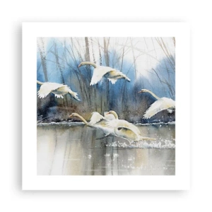 Plagát - Ako v poviedke o divokých labutiach - 40x40 cm