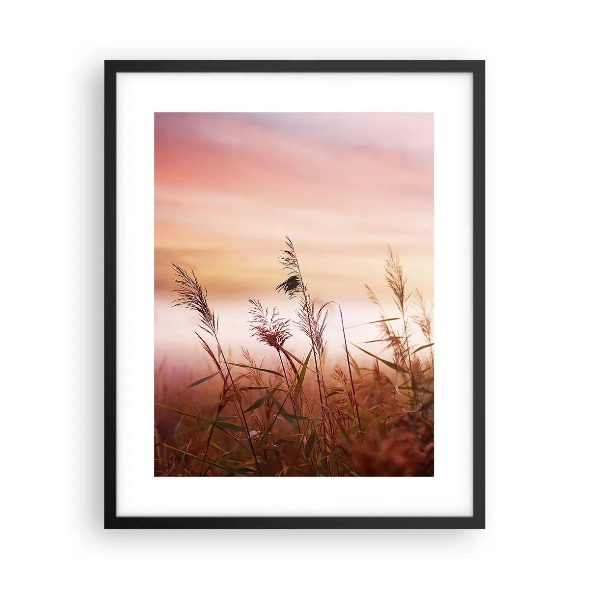 Plagát v čiernom ráme - Draci, púpavy a vietor - 40x50 cm