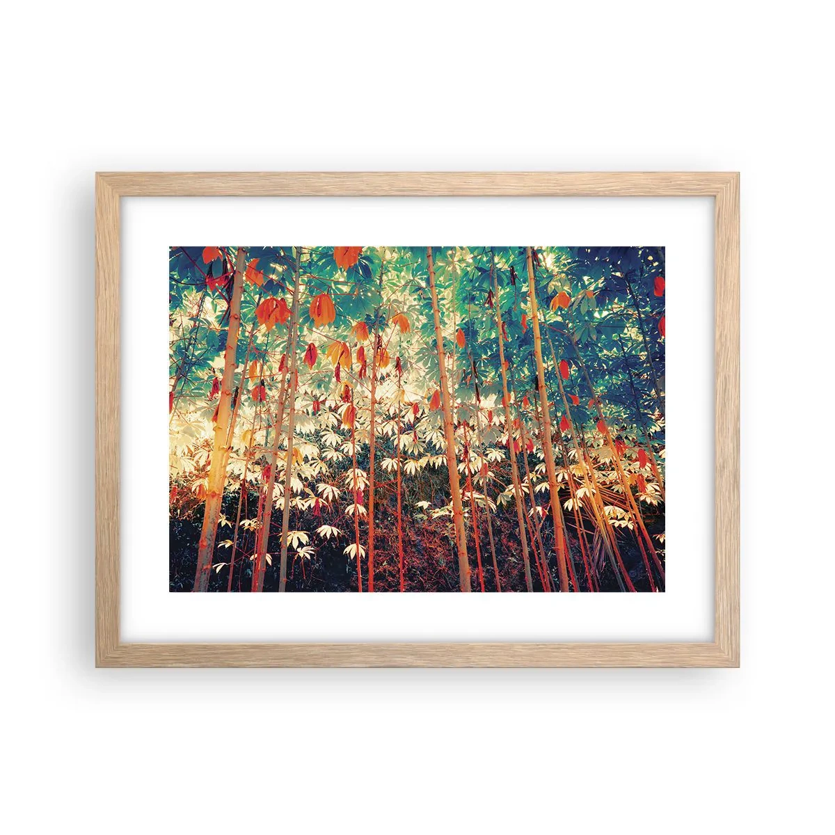 Plagát v ráme zo svetlého duba - Tajný život listov - 40x30 cm