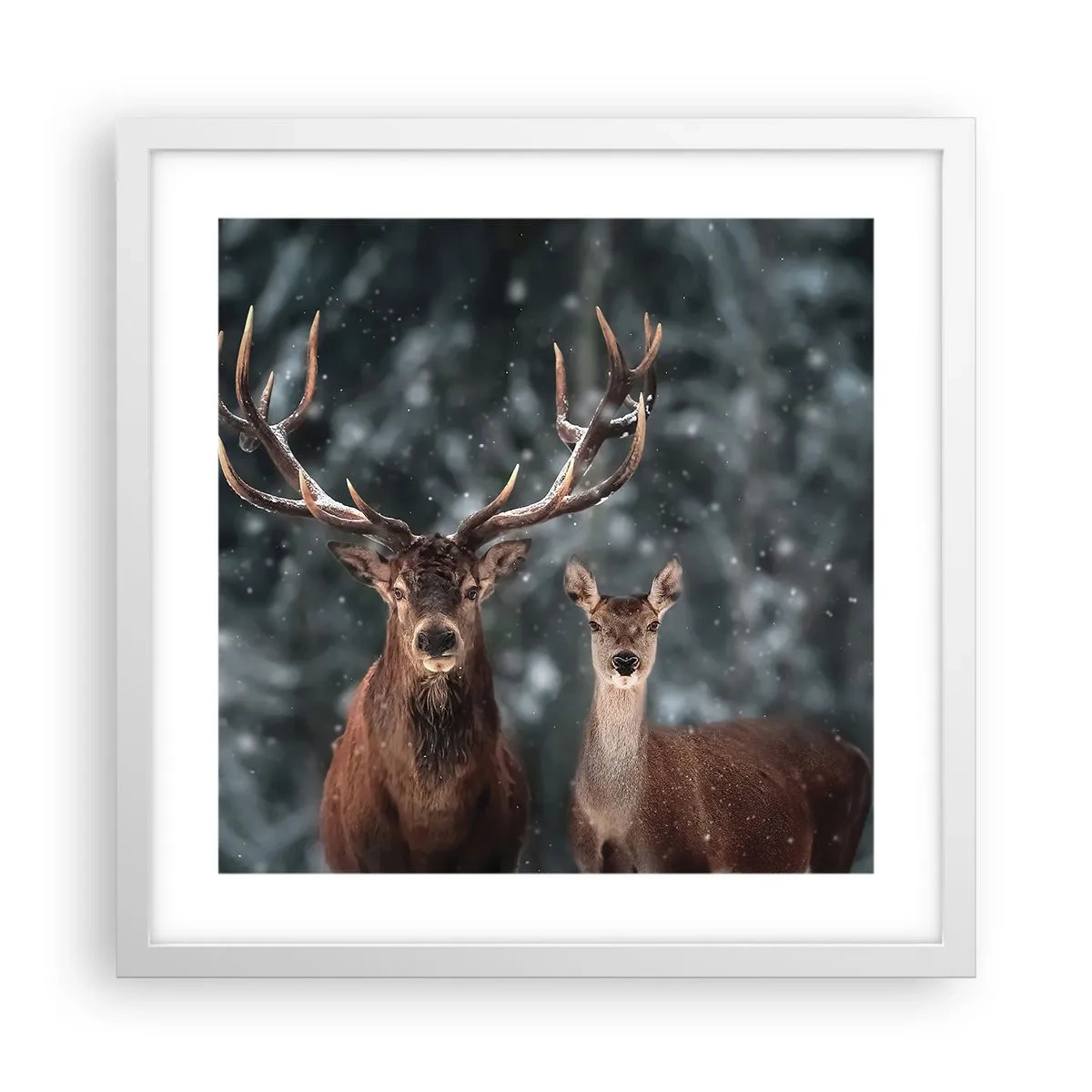 Plagát v bielom ráme - Pán lesa so svojou ženou - 40x40 cm