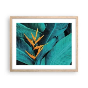 Plagát v ráme zo svetlého duba - Rajský kvet - 50x40 cm