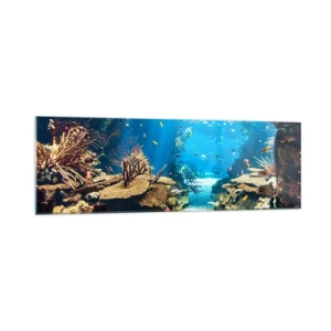 Obraz na skle - Ani vo sne ťa to nenapadlo - 160x50 cm