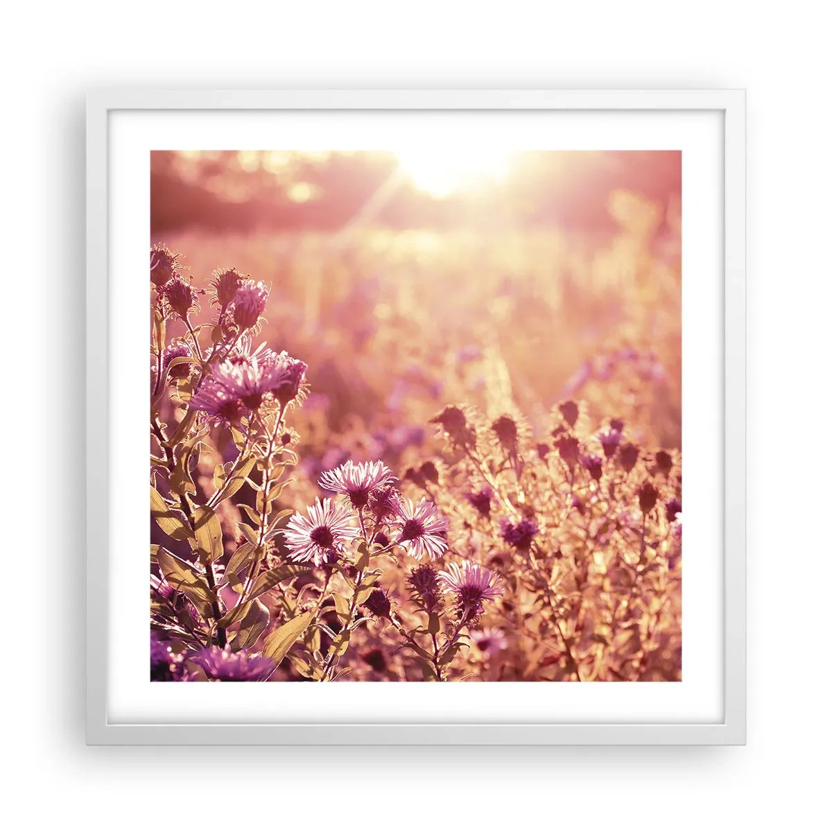 Plagát v bielom ráme - Než skončí leto - 50x50 cm