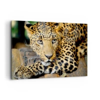 120x80 cm | Vodorovný