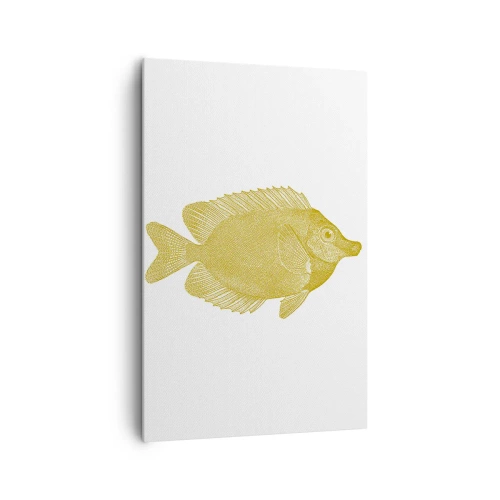 Obraz na plátne - Proste ryba - 80x120 cm