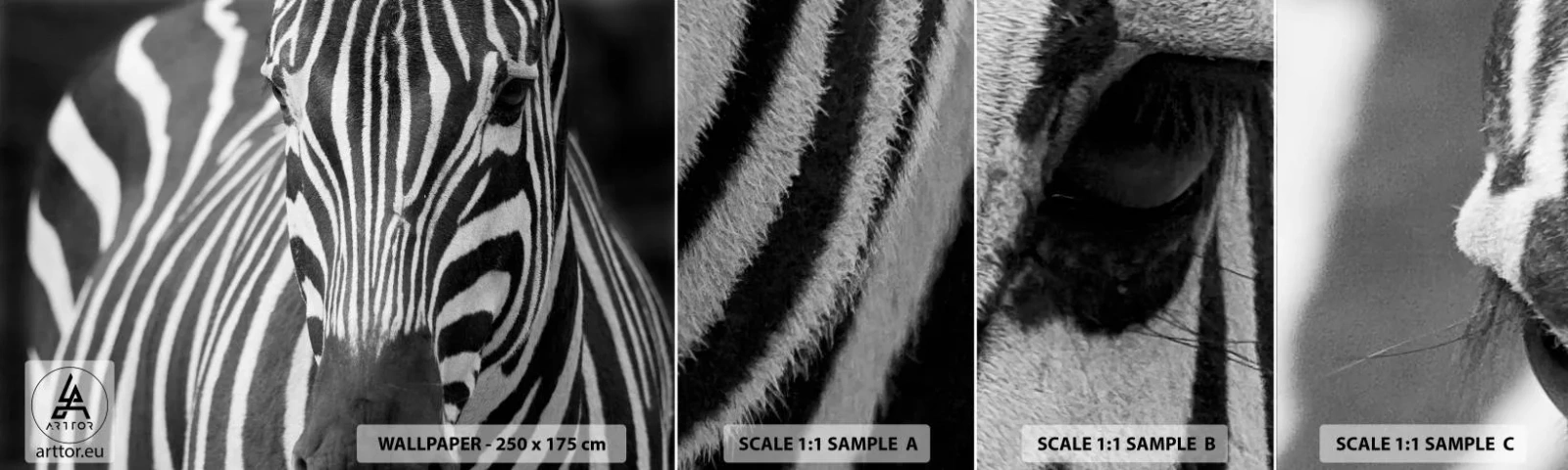 Vzorka Fototapeta Standard Eco - Svet je čierno-biely - Zvieratá, Rebrá, Čierna a biela - 100x30 cm