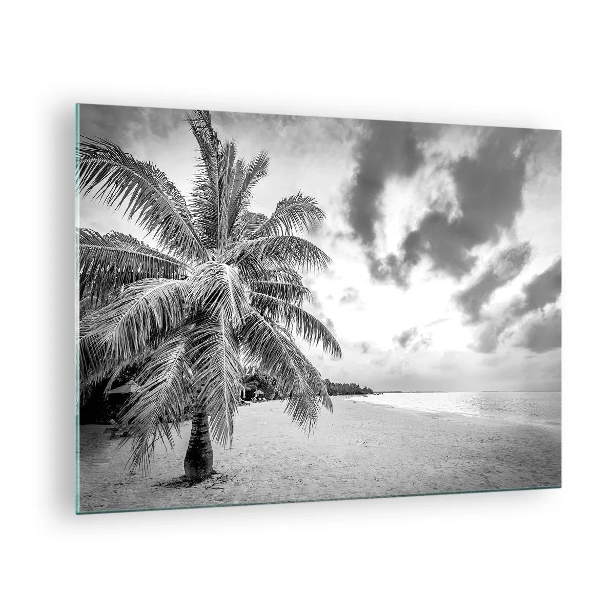 Obraz na skle - Čiernobiela palma na prázdnej pláži so zamračenou oblohou. - 70x50cm - Keď túžiš po samote…. - Moderná nástenná dekorácia do obývacej izby a spálne ARTTOR