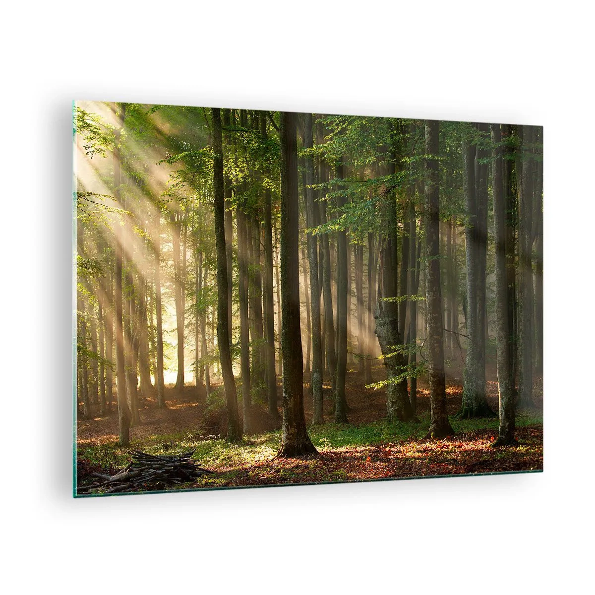 Obraz na skle - Slnečné lúče žiaria cez stromy v lese - 70x50cm - Rozžiarený v jarnom ráne - Moderná nástenná dekorácia do obývacej izby a spálne ARTTOR