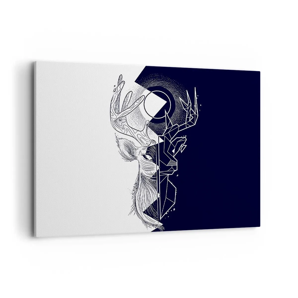 Obraz na plátne - Boj a jednota opakov - 100x70 cm