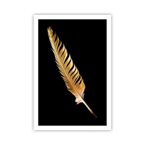 Plagát - Krásne pierko… - 61x91 cm
