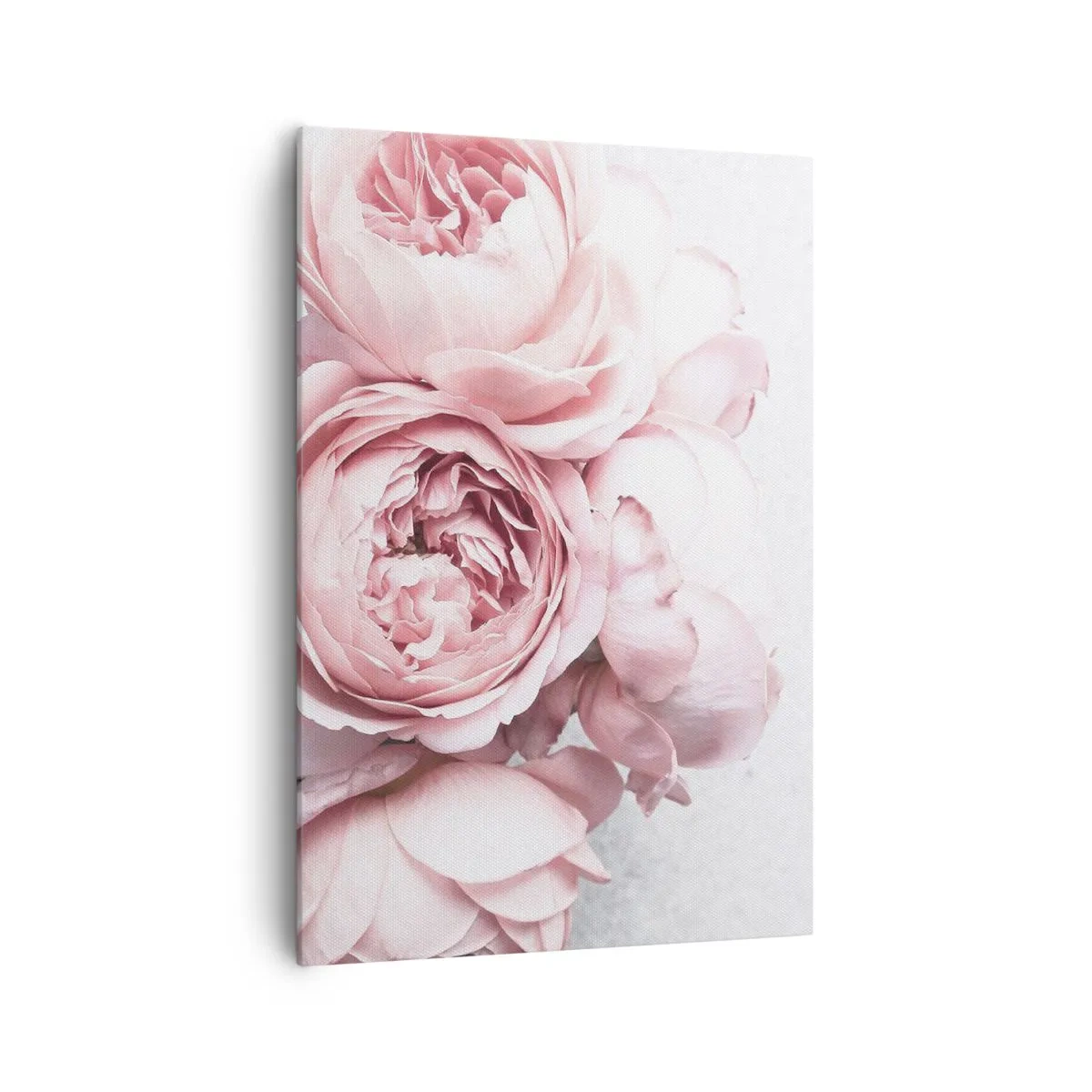 Obraz na plátne - Pre romantikov - 70x100 cm