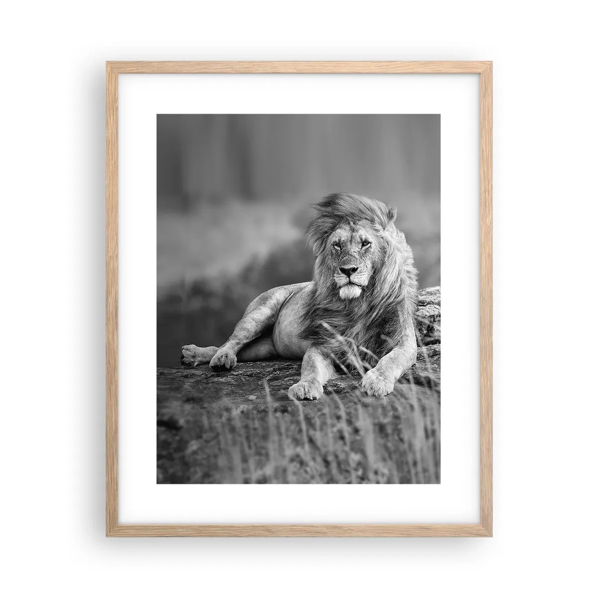 Plagát v ráme zo svetlého duba - Kráľovská siesta - 40x50 cm