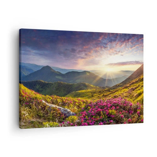 Obraz na plátne - Horská krajina s kvitnúcimi rododendronmi - 70x50cm - Sviežosť horského rána - Moderná nástenná dekorácia do obývacej izby a spálne ARTTOR