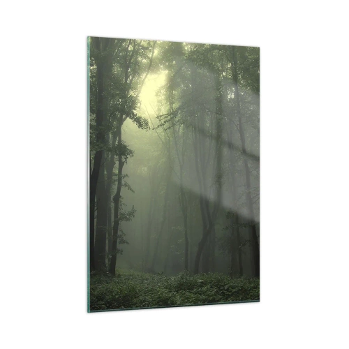 Obraz na skle - Než sa prebudí - 50x70 cm