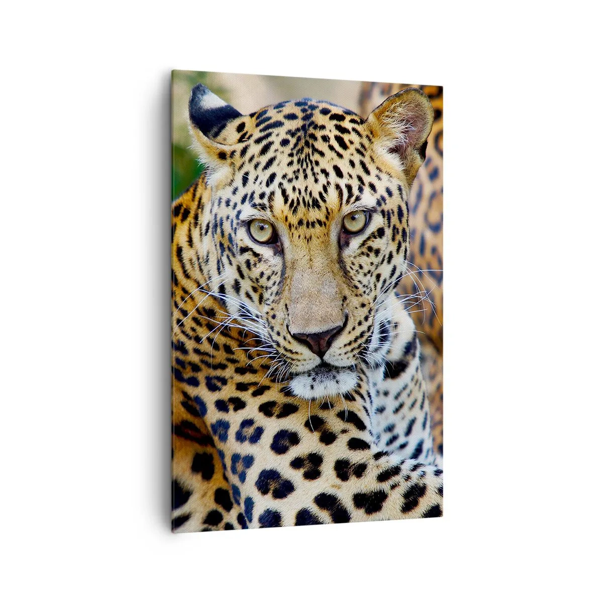 Obraz na plátne - Divoký a pokojný - 80x120 cm