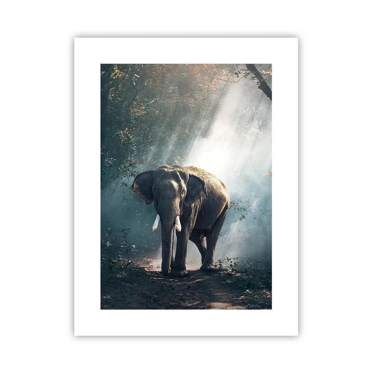 Plagát - Pokojná prechádzka - 30x40 cm