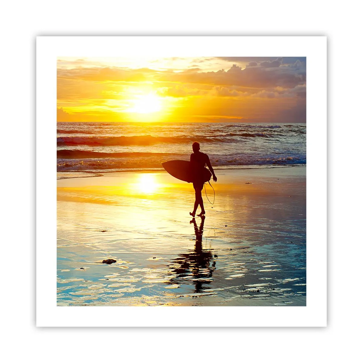 Plagát - Návrat bojovníka - 50x50 cm