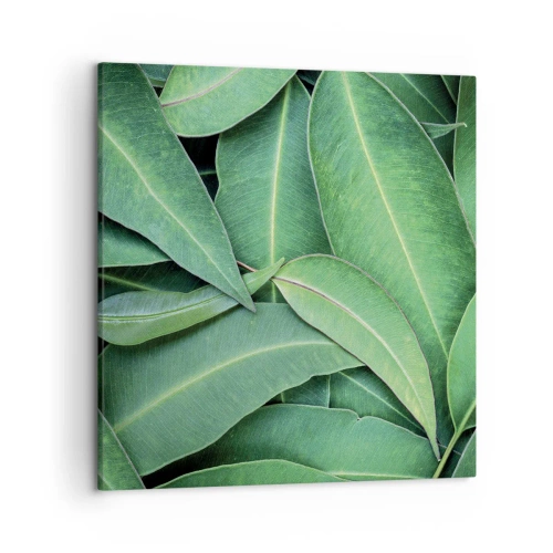 Obraz na plátne - Šťavnaté a svieže - 50x50 cm