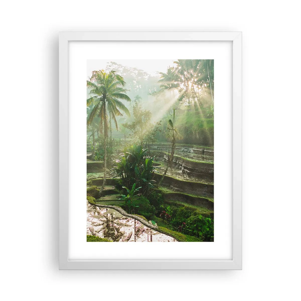 Plagát v bielom ráme - Vyrastať na slnku - 30x40 cm