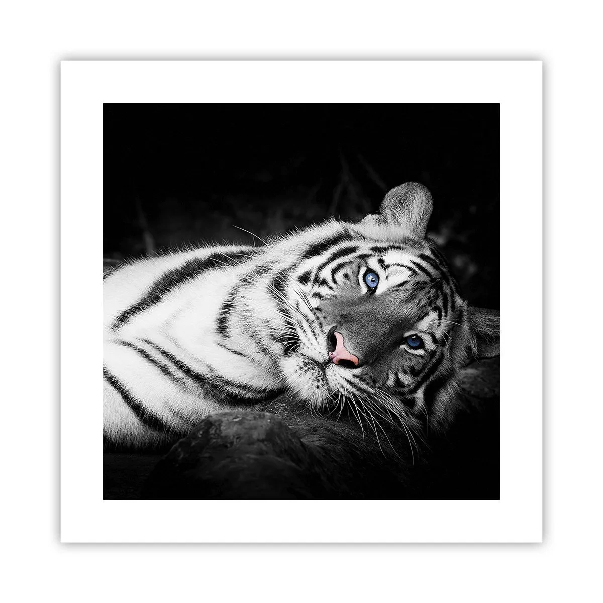 Plagát - Divočina a pokoj - 40x40 cm