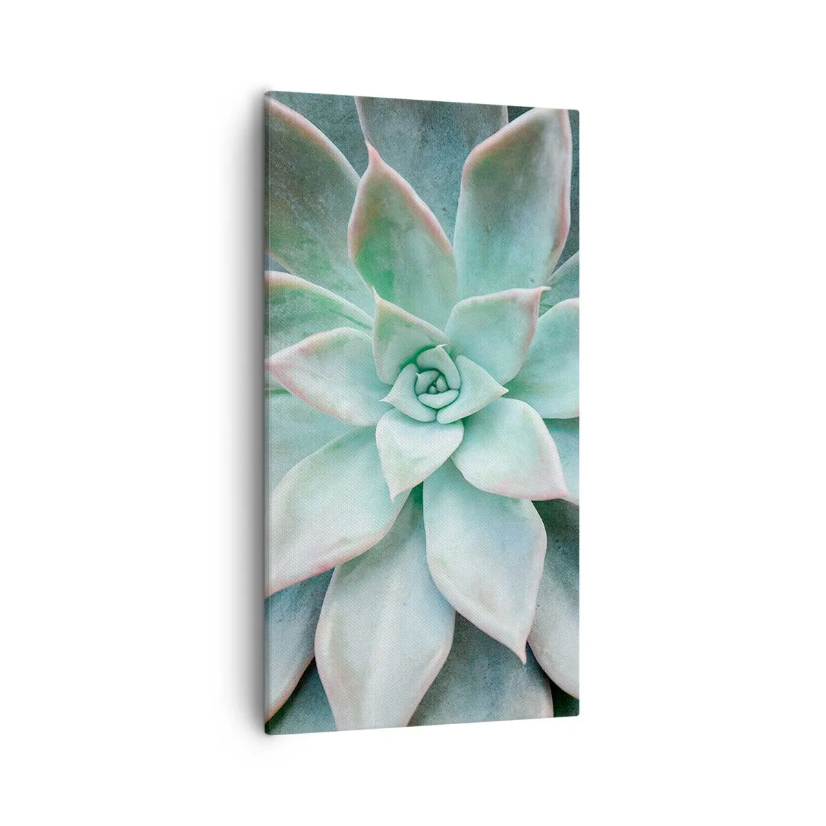 Obraz na plátne - Srdce púšte - 55x100 cm