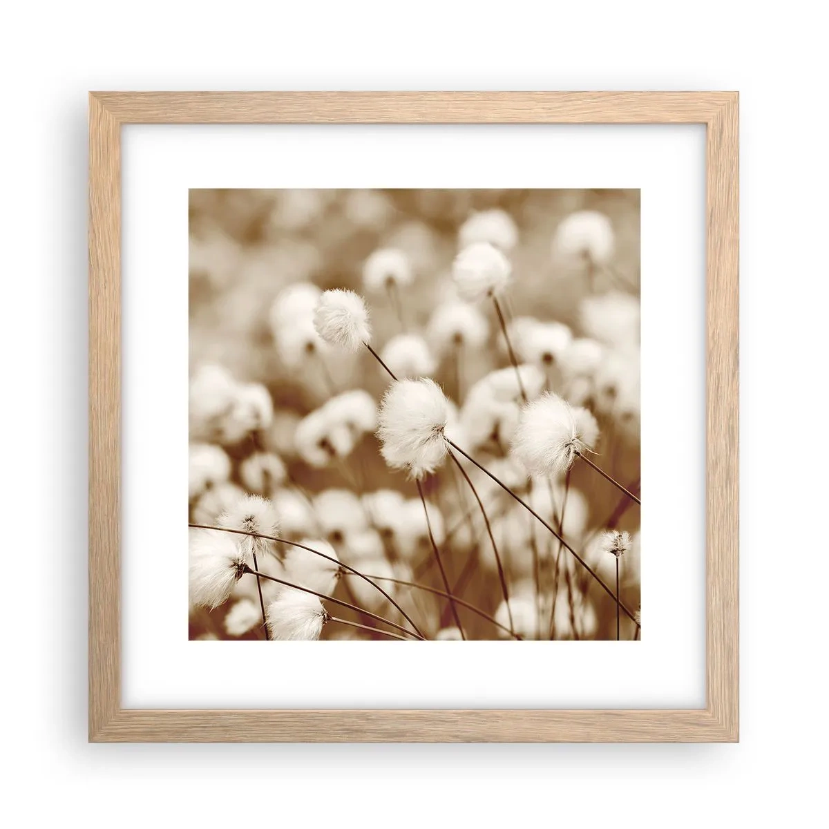 Plagát v ráme zo svetlého duba - Chlpatý lán - 30x30 cm