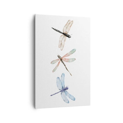 Obraz na plátne - Beztiažové vážky - 80x120 cm