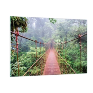 Obraz na skle - Zavesený nad korunami - 120x80 cm